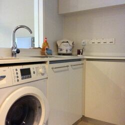 Shelford Suites (D11), Condominium #372815311